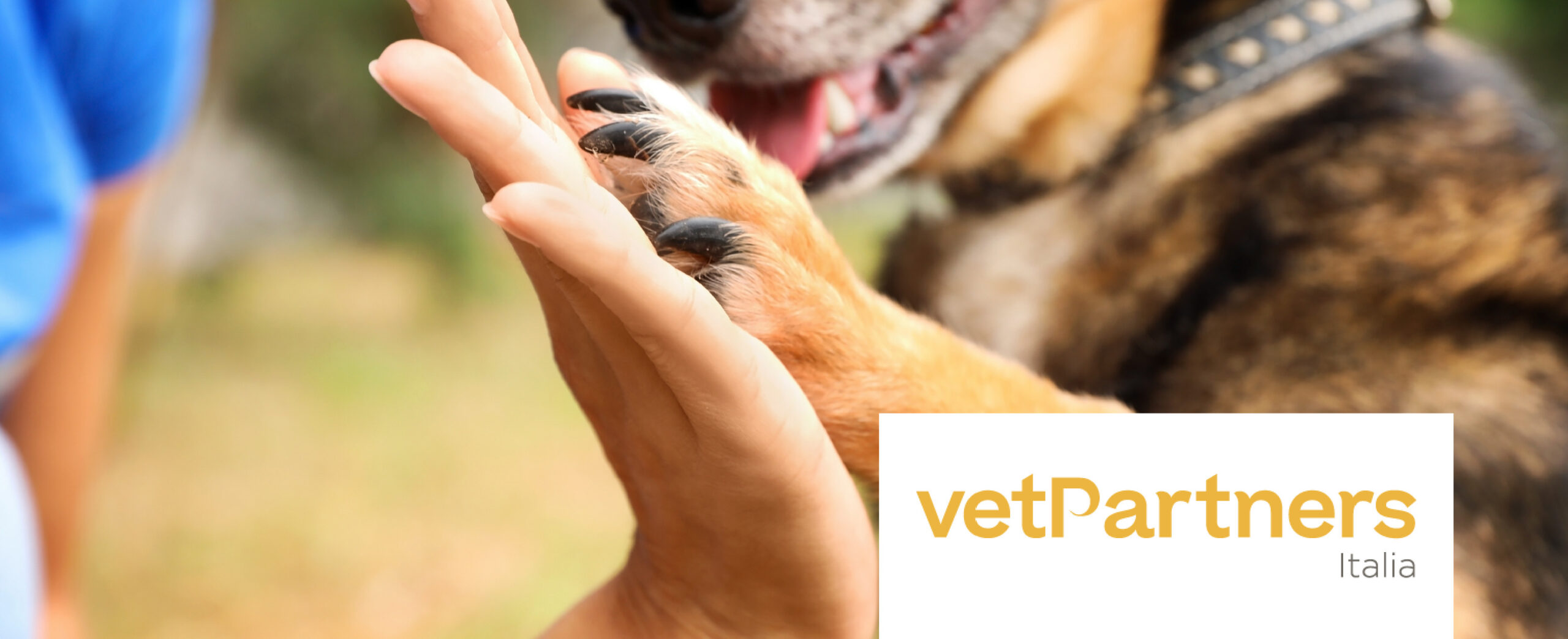 Cane che da la zampa ad un veterinario con sotto il logo vetPartners Italia. Simbolo della collaborazione