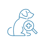 Dermatologia Veterinaria Icona rappresentativa del servizio di Dermatologia dell'Ospedale Veterinario San Francesco a Treviso