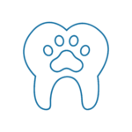 ODONTOSTOMATOLOGIA VETERINARIA Icona rappresentativa del servizio di Odontostomatologia dell'Ospedale Veterinario San Francesco a Treviso