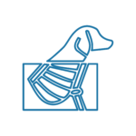 RADIOLOGIA VETERINARIA Icona rappresentativa del servizio di Radiologia dell'Ospedale Veterinario San Francesco a Treviso