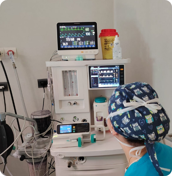 Anestesista monitora i parametri vitali Un medico veterinario anestesista monitora i parametri vitali di un paziente durante un intervento