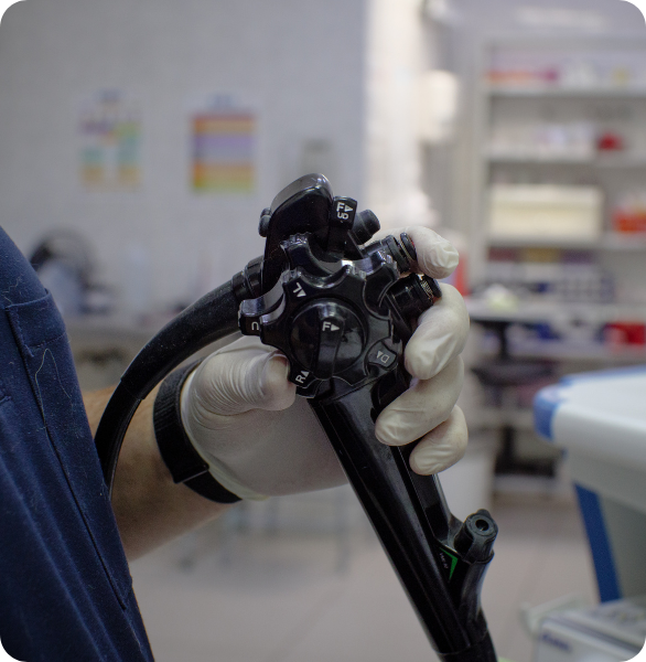 Endoscopio gastroscopico utilizzato per endoscopia veterinaria