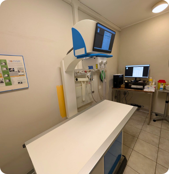 Radiologico diretto Area dedicata all'esecuzione di radiografie digitali dirette